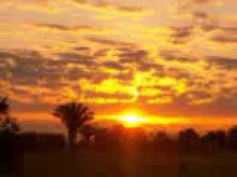 Un guayabo e doble filo