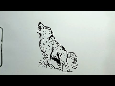 How to Draw Howling Wolf in Easy Steps