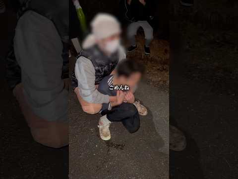 借金返済のため子犬を産ませ続ける悪徳ブリーダーから犬を救出します