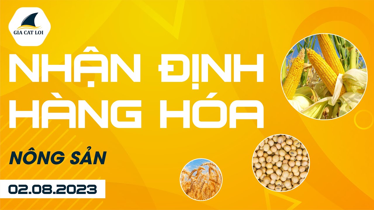 Nhận Định Hàng Hoá Nông Sản Ngày 02/08/2023