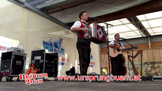 Lebwohl lebewohl Ursprung Buam Live