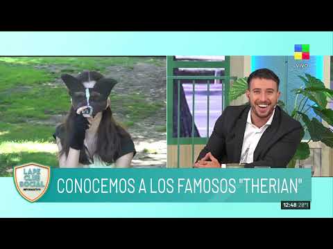 🦊 Los "THERIANS": la comunidad que se autopercibe animal
