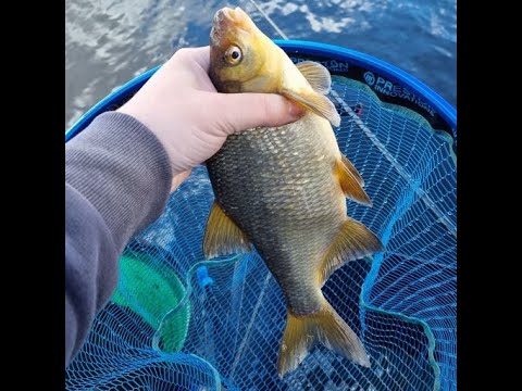 First Feeder Fishing Session of 2022, Vlog no 97