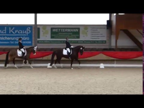 [Turnier] E-Dressur (E 6/2)