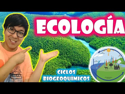 [ BIOLOGÍA FREE ] - ECOLOGIA | CICLOS BIOGEOQUIMICOS 🌍🌎🌏