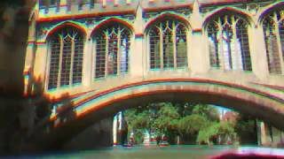 the feeling of losing everything