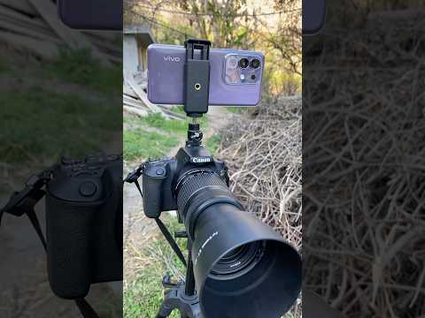 Vivo t4x 5g vs DSLR camera 🔥