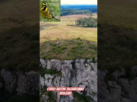 ¿Conocés el Cerro Batovi, el ícono de Tacuarembó? 🗻