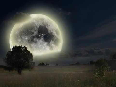 Più Su - Renato Zero