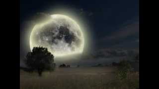 Più Su - Renato Zero