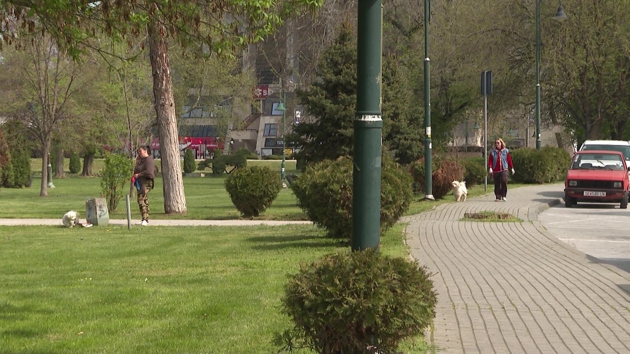 Нов закон за миленици во Македонија–казни од 400 e за несоодветно чување кучиња,до 5.000 e за мачење