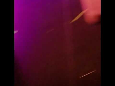 Hempress Iley @ The Dub Club