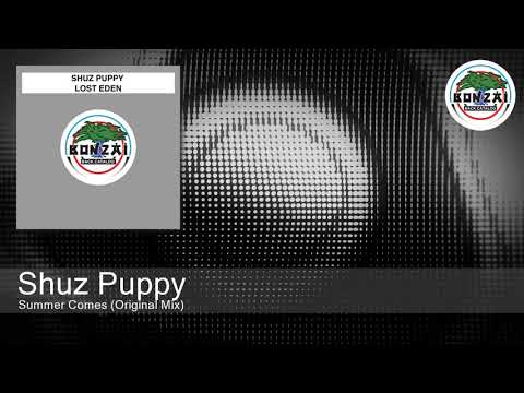 Shuz Puppy - Summer Comes (Original Mix)