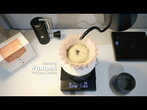 My Favourite Way to Brew Washed Process Coffee for A Balanced Cup