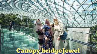 Jewel from canopy bridge to ground floor review#canopybridge#singapore#jewel