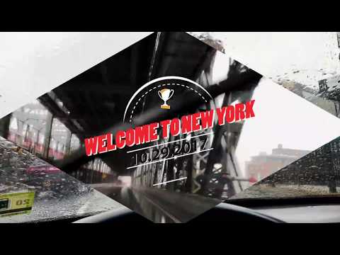 HOUSE PLANT ROAD TRIP: Ep. 1- JOURNEY TO 4 NEW YORK GARDEN NURSERIES