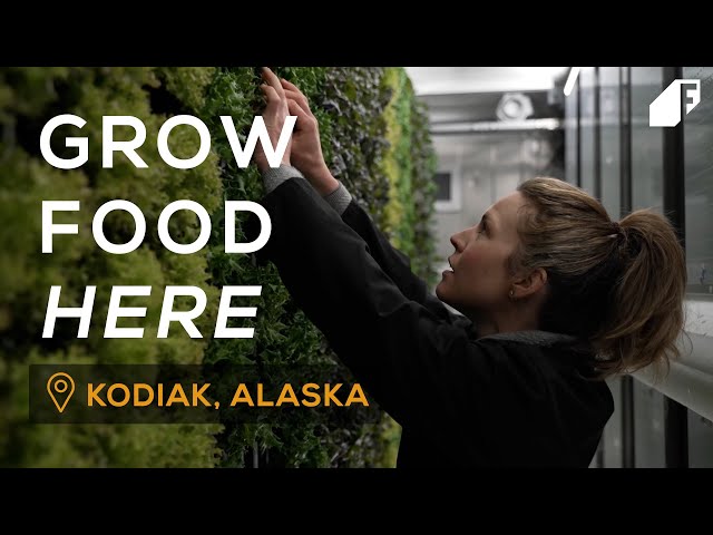 Wymowa wideo od Kodiak Island na Angielski