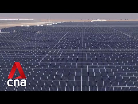 A look at the world's largest single-site solar plant in the UAE
