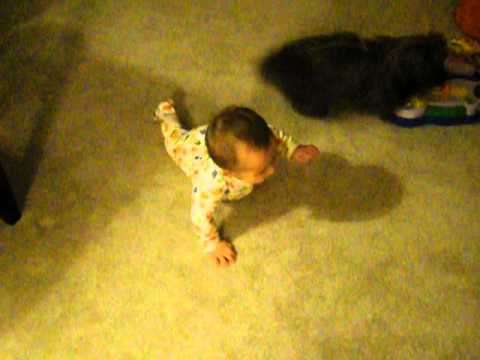 Anthony and Munchkin, 4 1/2 months old