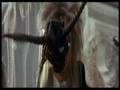 Jareth Falls in Love 