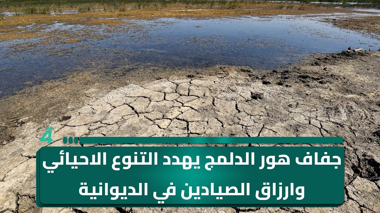 فيديو | جفاف هور الدلمج يهدد التنوع الاحيائي وارزاق الصيادين في الديوانية