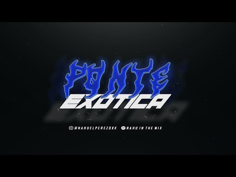 NAHU IN THE MIX - Ponte Exotica