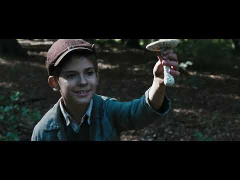 Беги, мальчик,беги (Фильм 2013) Военный, биография, боевик, драма