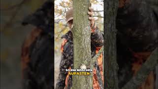 Baumpflege: Saubere Schnitte für gesunde Bäume! #shorts