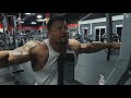 Rear Delt Machine