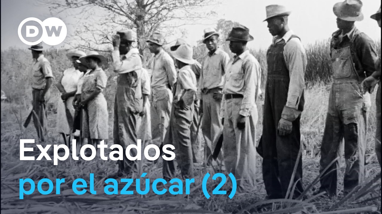 Sangre, sudor y trata de personas - Cómo el azúcar creó la esclavitud (2/2) | DW Documental
