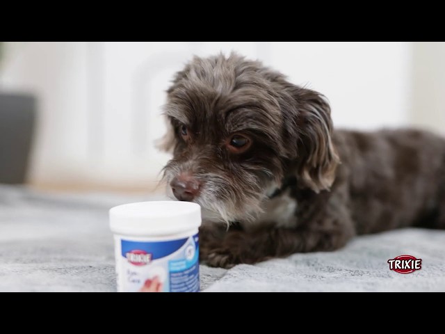 مسحات عيون القطط