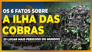 ILHA DAS COBRAS (QUEIMADA GRANDE): O LUGAR MAIS PERIGOSO DO MUNDO