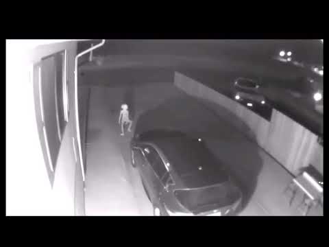 DOBBY/ALIEN CHICKEN DANCE