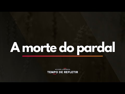 Tempo de Refletir 2407 - A morte do pardal