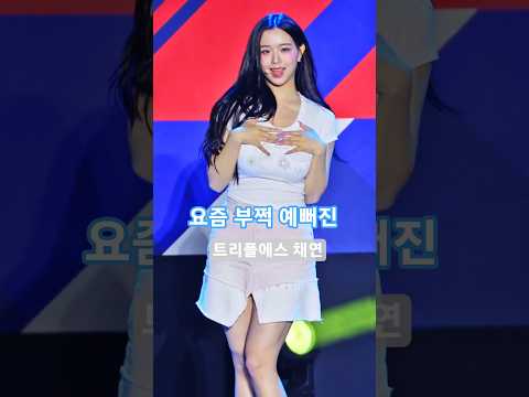 아이콘