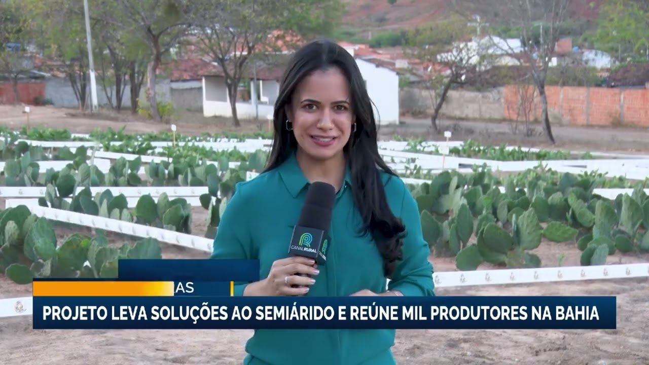 Projeto leva soluções ao semiárido e reúne mil produtores na Bahia