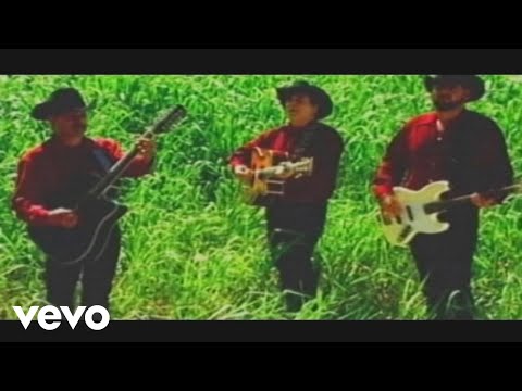 Miguel Y Miguel - Nido Caído