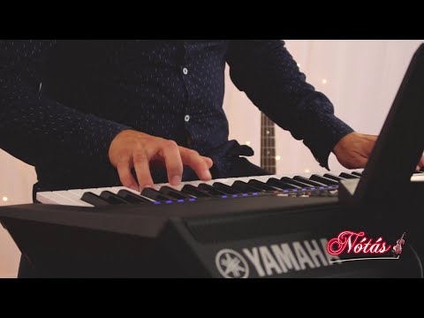 Harnyos Tomi - Bárhol jársz, bármerre mész