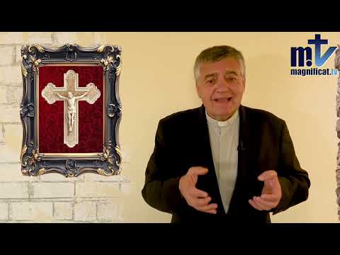 La trampa al Papa: curas casados, sinodalidad y la crisis de la Iglesia | P. Santiago Martin FM | Actualidad Comentada