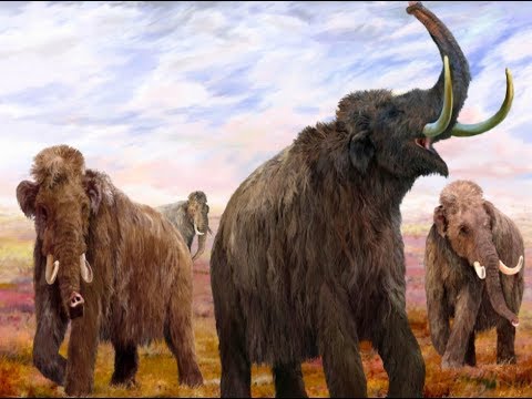 FARMING WOOLLY MAMMOTHS S4 ● E123
