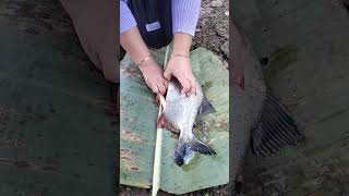 Download lagu Ta sengaja nemu mutiara di dalap perut ikan bawal wah auto kaya mendadak nih #mistis #vidio #viral mp3 Download lagu Ta sengaja nemu mutiara di dalap perut ikan bawal wah auto kaya mendadak nih #mistis #vidio #viral mp3