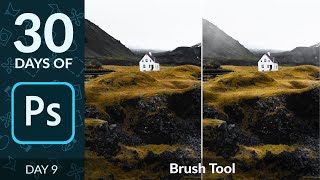 How to Use the Brush Tool in Photoshop | Day 9