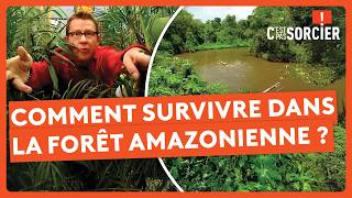 C'est pas sorcier - ODYSSEE DES PLANTES