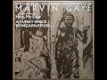Marvin Gaye ‎– A Funky Space Reincarnation (12'' Version) ℗ 1978