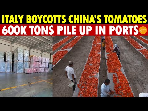 China’s 600,000 Tons of Tomato Sauce Pile Up, Italian Farmers Protest Over “Made in Italy” Labels