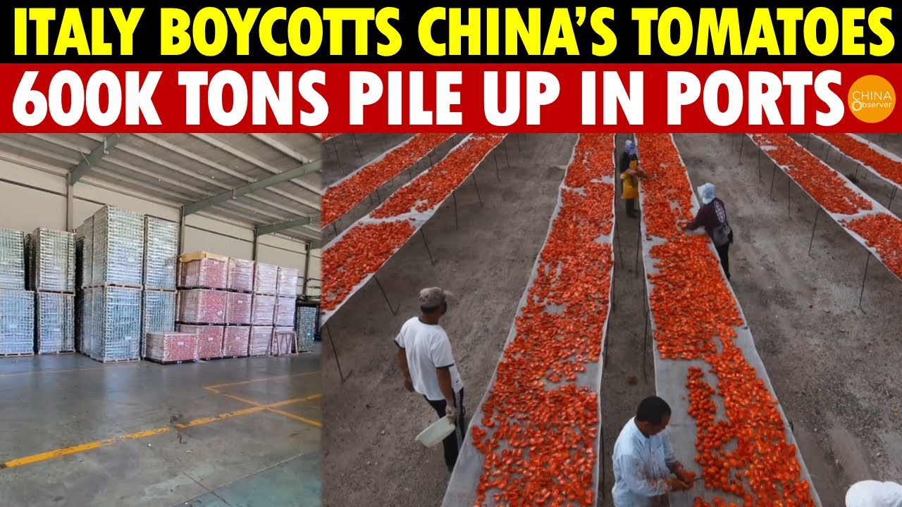 China’s 600,000 Tons of Tomato Sauce Pile Up, Italian Farmers Protest Over “Made in Italy” Labels