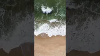 Drönare - Vågor mot en strand vid Newcastle i Australien (#Shorts)