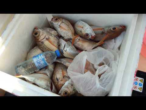 Deep drop Derin su avı özkanlar av dalaman