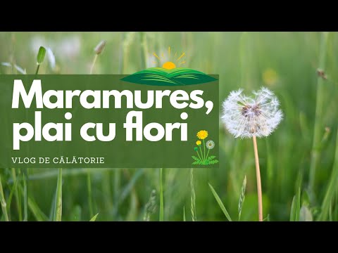 Ce poti face in Maramures - Mancare, cazare, activitati