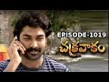 Episode 1019 Chakravakam Telugu Daily Serial Manjula Naidu Loud Speaker